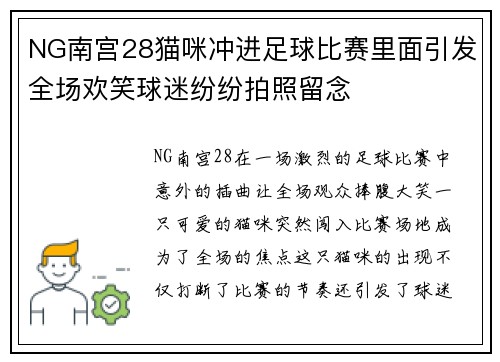 NG南宫28猫咪冲进足球比赛里面引发全场欢笑球迷纷纷拍照留念