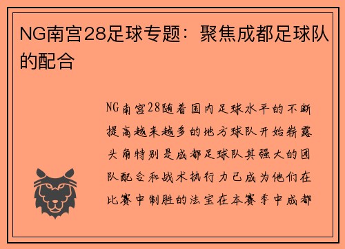 NG南宫28足球专题：聚焦成都足球队的配合